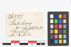 Etikett zu Spinnwirtel (NHMW-PRAE-026883)